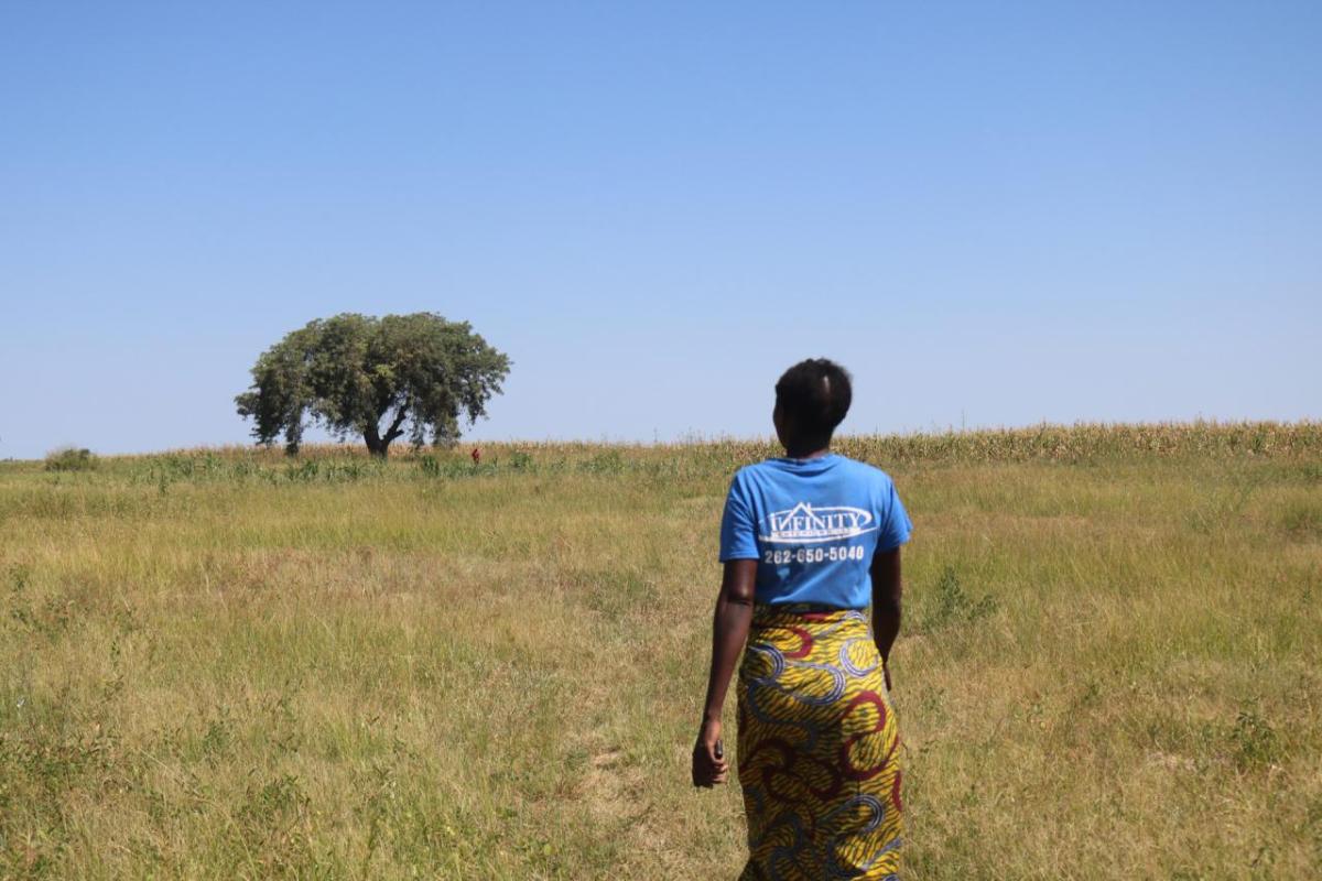 Zambia's drought, declared a national emergency in February, has destroyed crop fields across the country. 