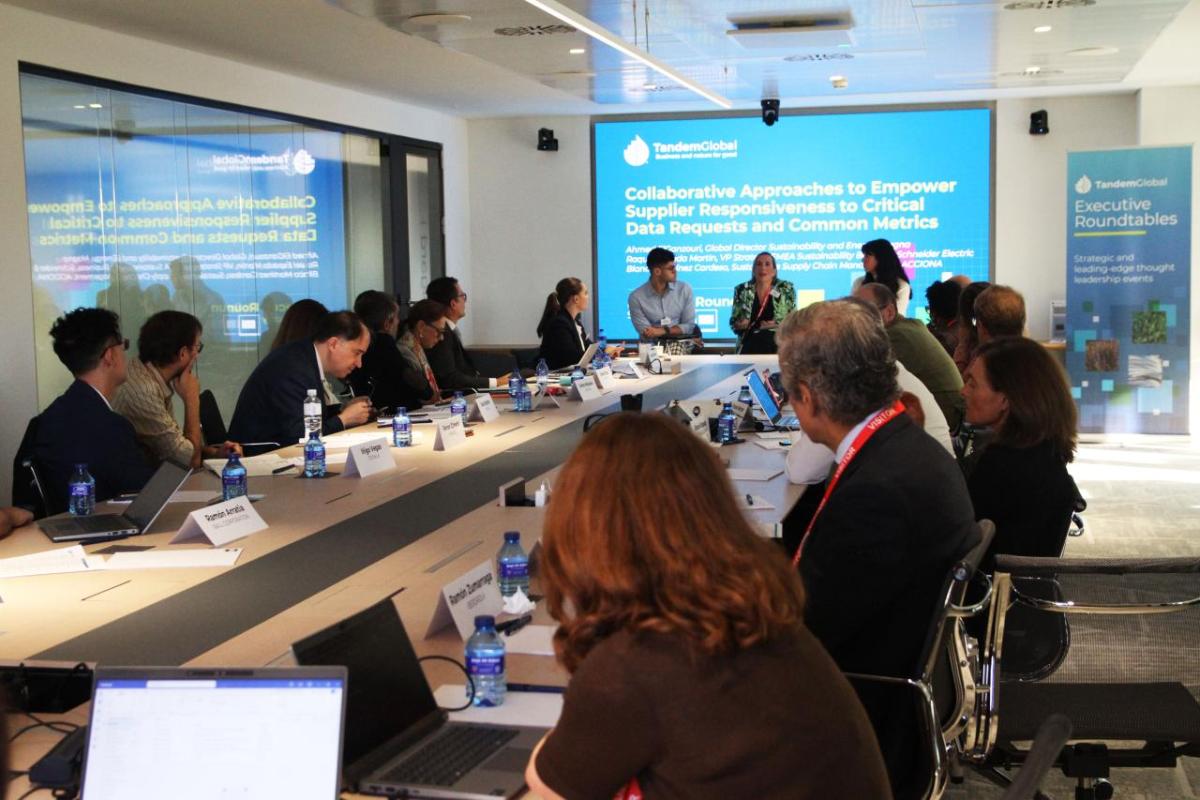 Tandem Global Executive Roundtable Madrid