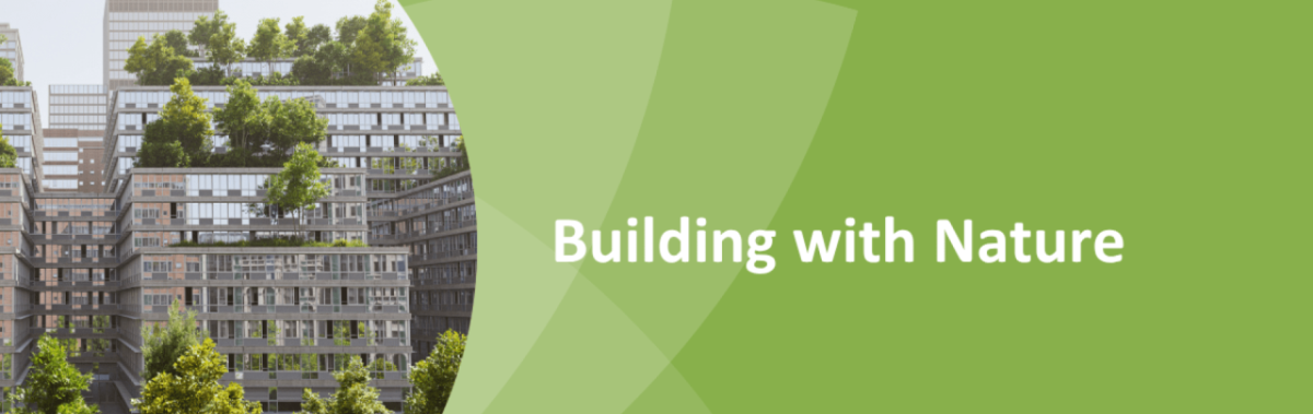 "Building with Nature"