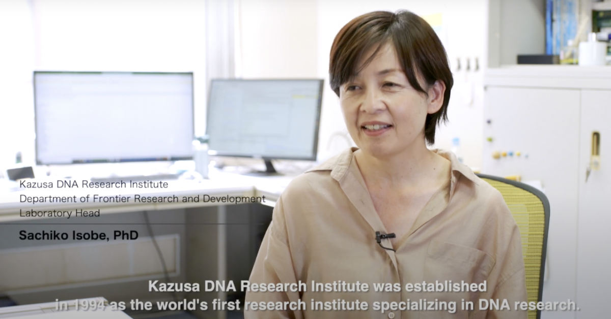 Sachiko Isobe PhD at Kazusa DNA Institute Japan.