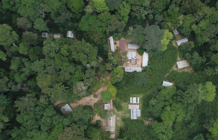 The conservation station of Magdalena in the rain forests of the congo.