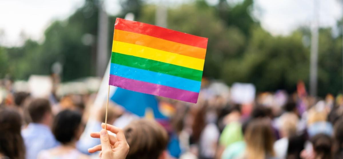 hand holding Pride flag