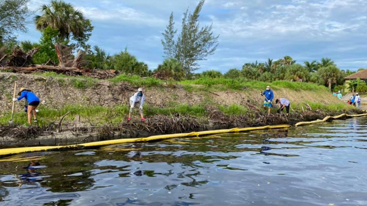 Keep Lee County Beautiful Restore Mangroves