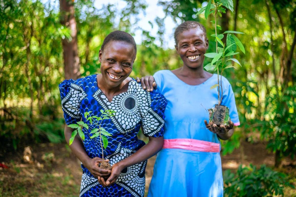 Two women working in reforestation of Kenya's Kakamega Rainforest " "