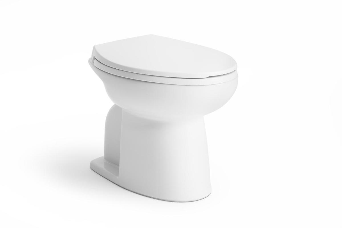 Kohler Rinse toilet