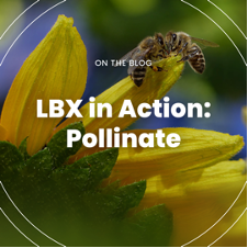 Bees on a flower. Reads LBX in Action: Pollinate