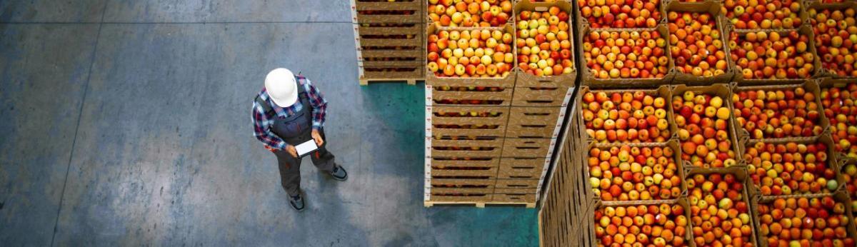 Worker in Apple Warehouse