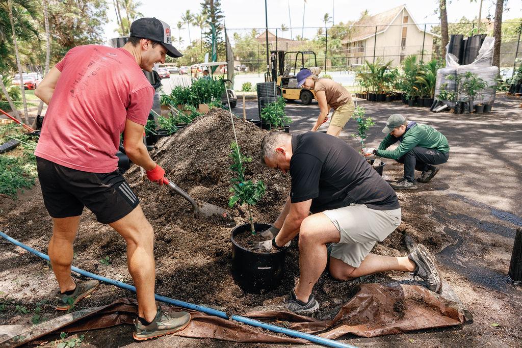 Arbor Day Foundation CEO Dan Lambe helps prepare trees for distribution in Lahaina, Hawaii, two years after devasting wildfires. The Foundation distributed more than 580 trees alongside its local planting partner The Outdoor Circle, in collaboration with Treecovery Hawaii, and The Royal Lahaina Resort & Bungalows.