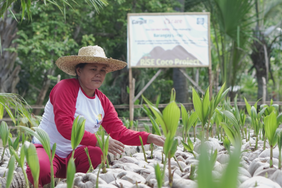 A farmer from the Philippines in a community nursery for coconut seedlings