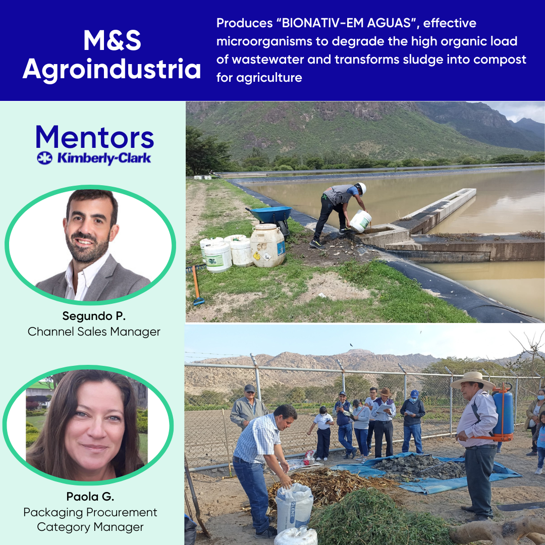 M&S Agroindustria Mentors