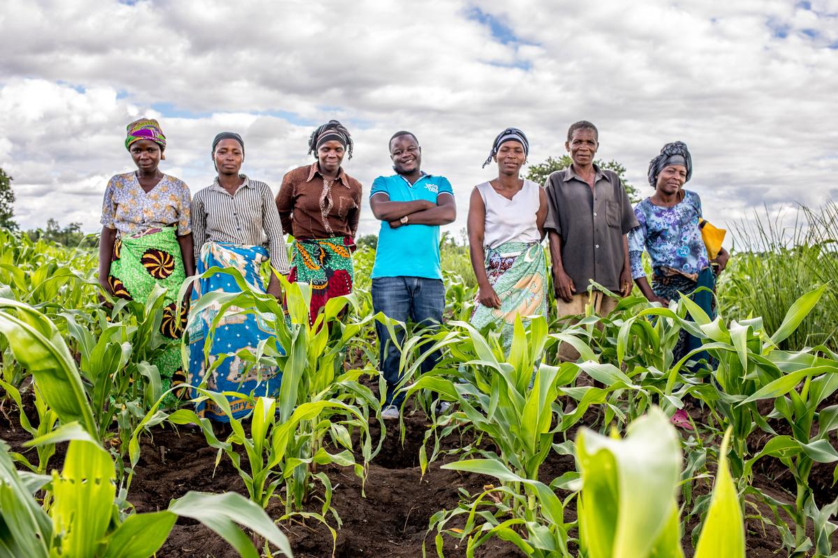 Community members in a field in Malawi.