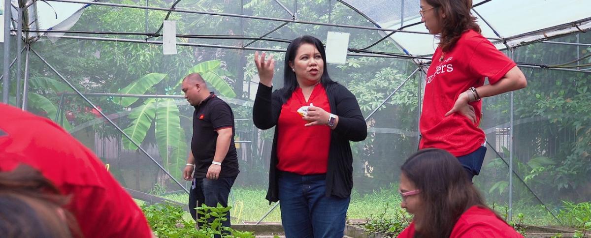 Marge Cabasagan leads a group of Wells Fargo volunteers as they plant and grow herbs and vegetables to feed those in need at Hospicio de San Jose in the Philippines.