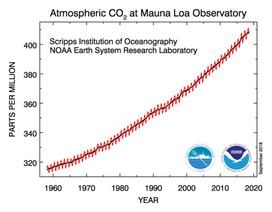 The go-to source for 60 years of CO2 concentration in the Earth’s atmosphere is data from Mauna Loa Observatory in Hawaii. The sawtooth pattern (red line) is due to seasonal uptake and discharge of carbon into the atmosphere by northern hemisphere flora.