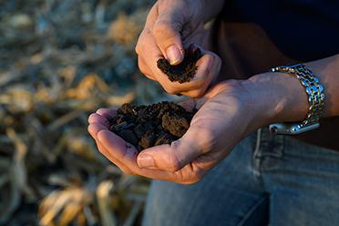 Soil Sampling