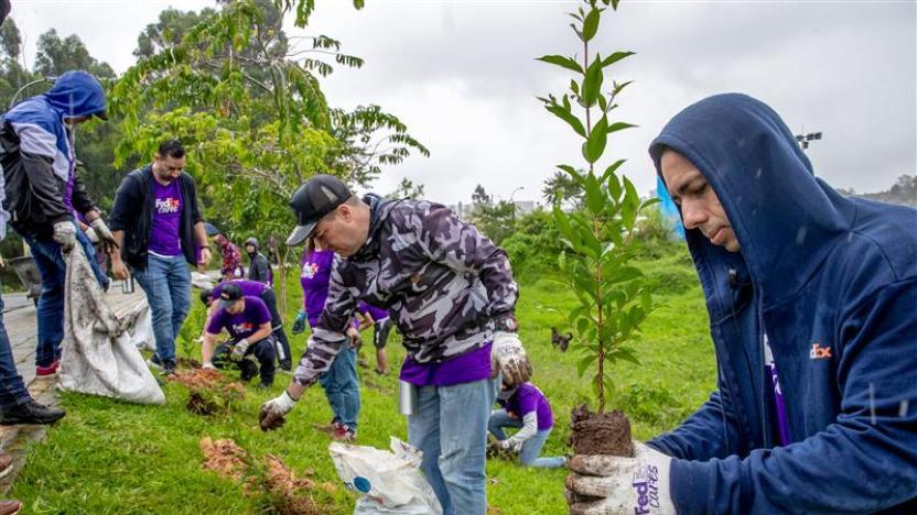 Team members planted trees along the Rionegro River