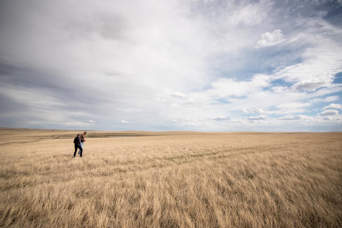 Person walking across a field of grasslands. © WWF-US / Clay Bolt