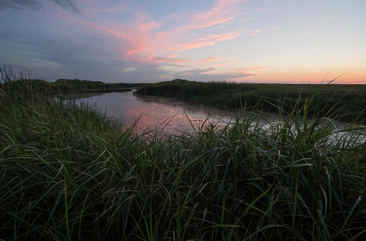 a pond surrounded by grasslands