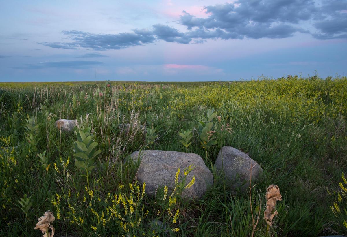 grassland prairie at sunrise