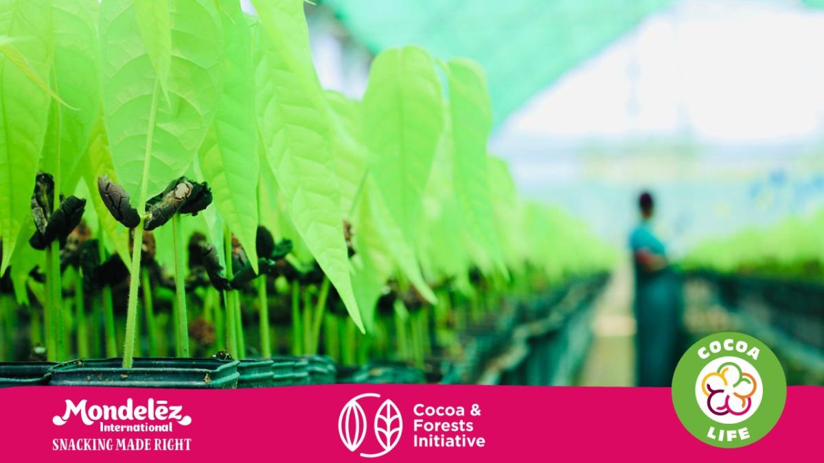 Mondelez and Cocoa Life logo with a photo of cocoa plants