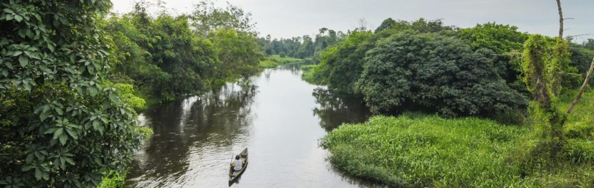 boat floating down a river in the jungle