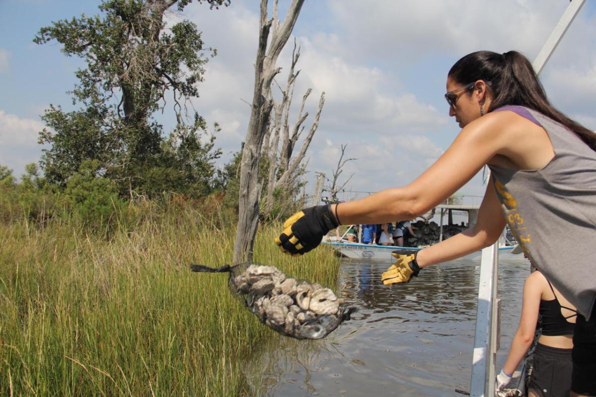 Person in a boat helping to clear up the coast