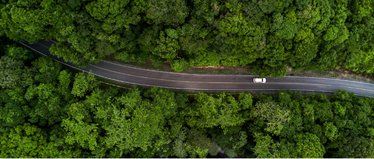 birds eye view of car on road driving through a forest