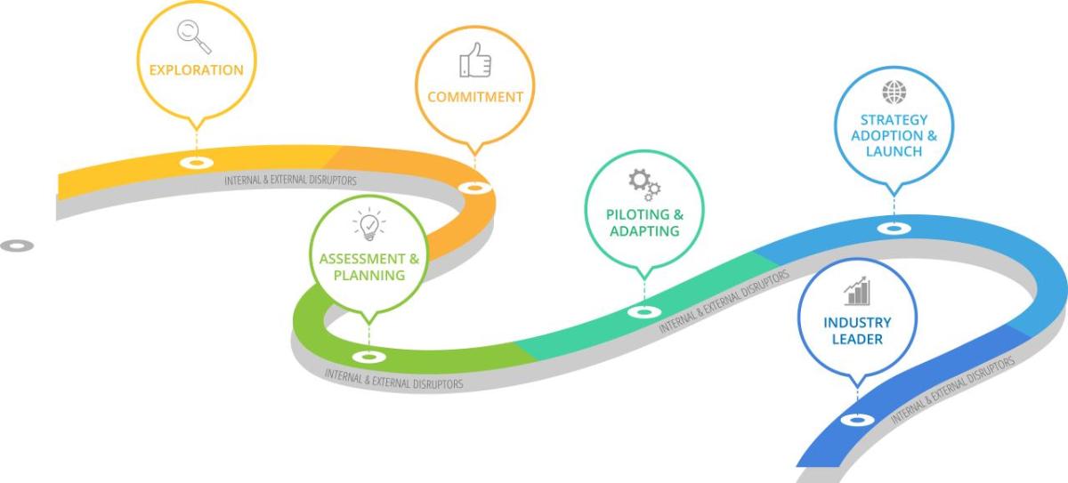 Graphic illustrating the steps of The Nature-Positive Journey
