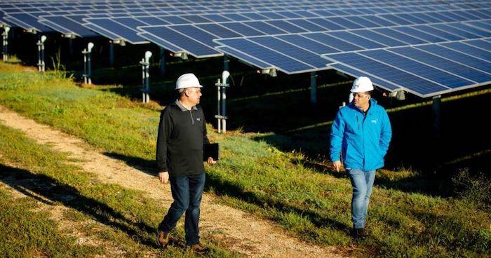 Two men with hard hats walking through a field of solar panels.