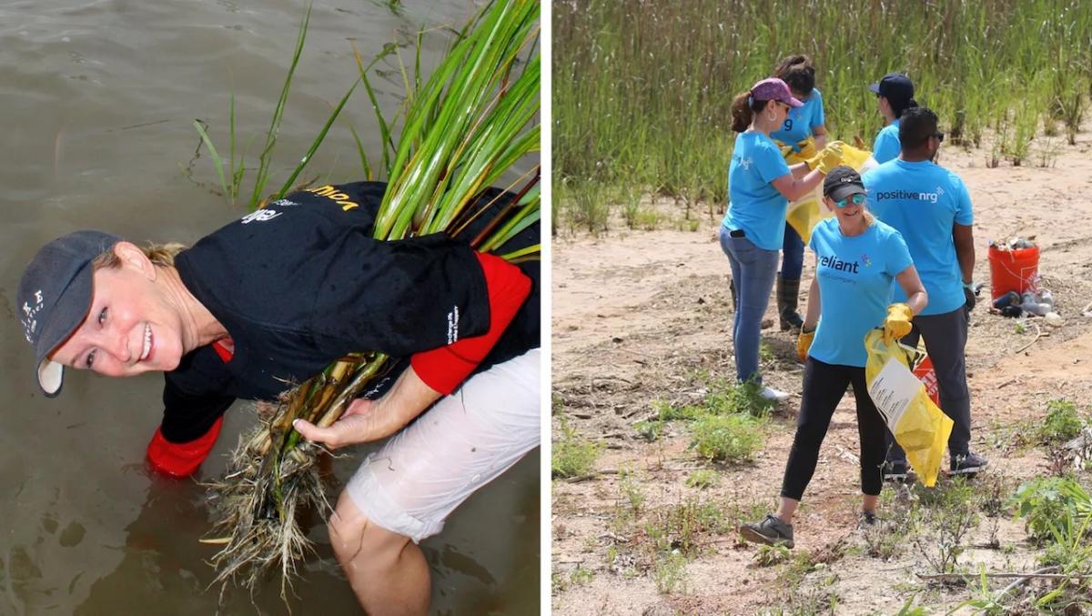 Pat Hammond working along the Galveston wetlands.