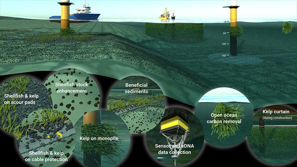 R​endering of offshore wind lease area environment with highlights of nature-based solutions capabilities. 