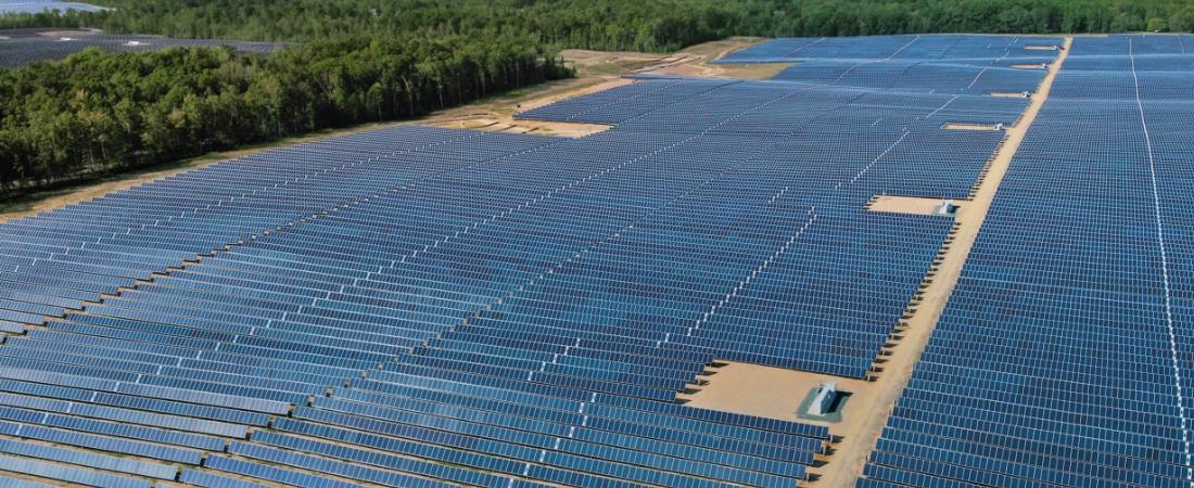 a field of solar panels