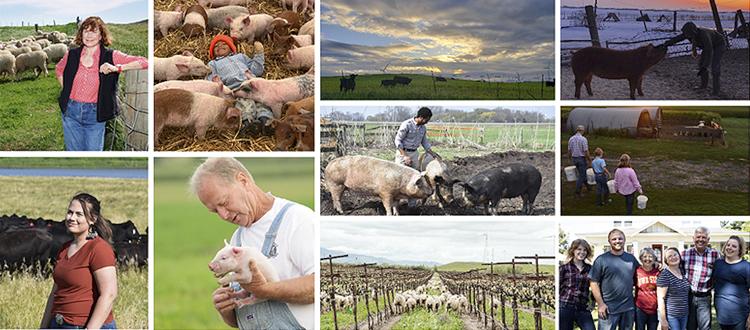 Niman Ranch farmers