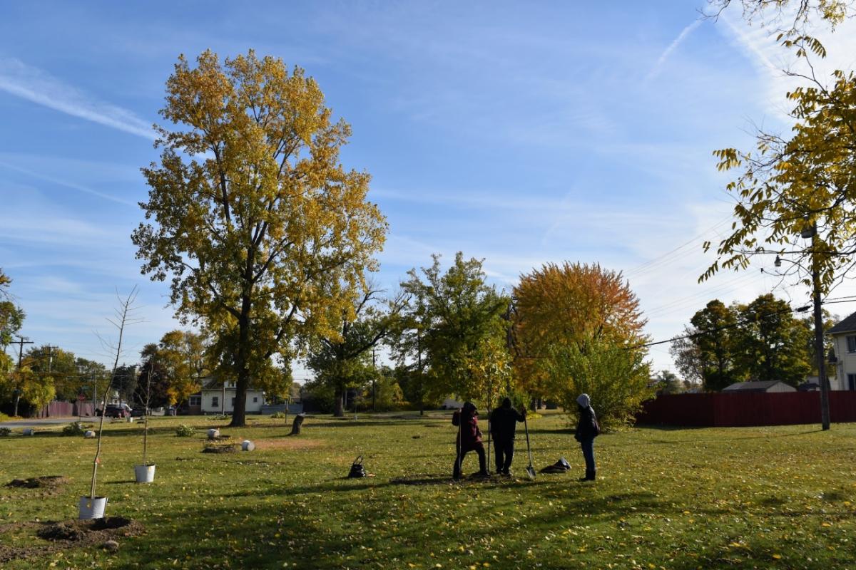 group of people planting tree