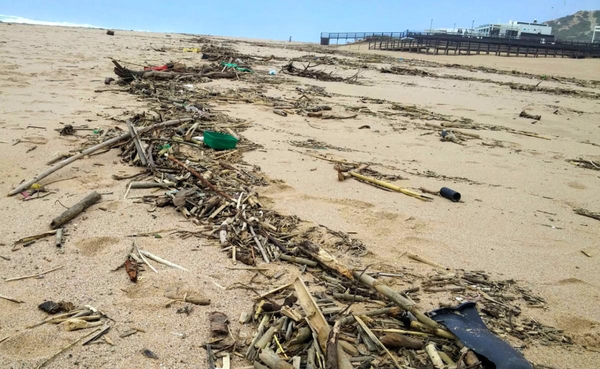 a beach with scattered debris and garbage