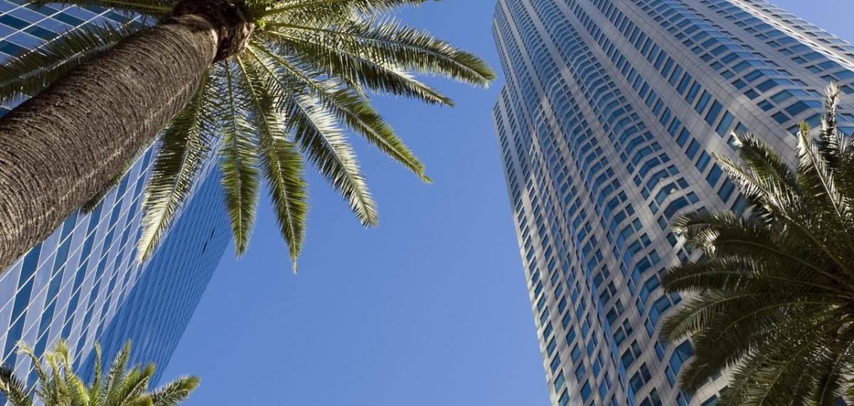 Towering buildings and palm trees 