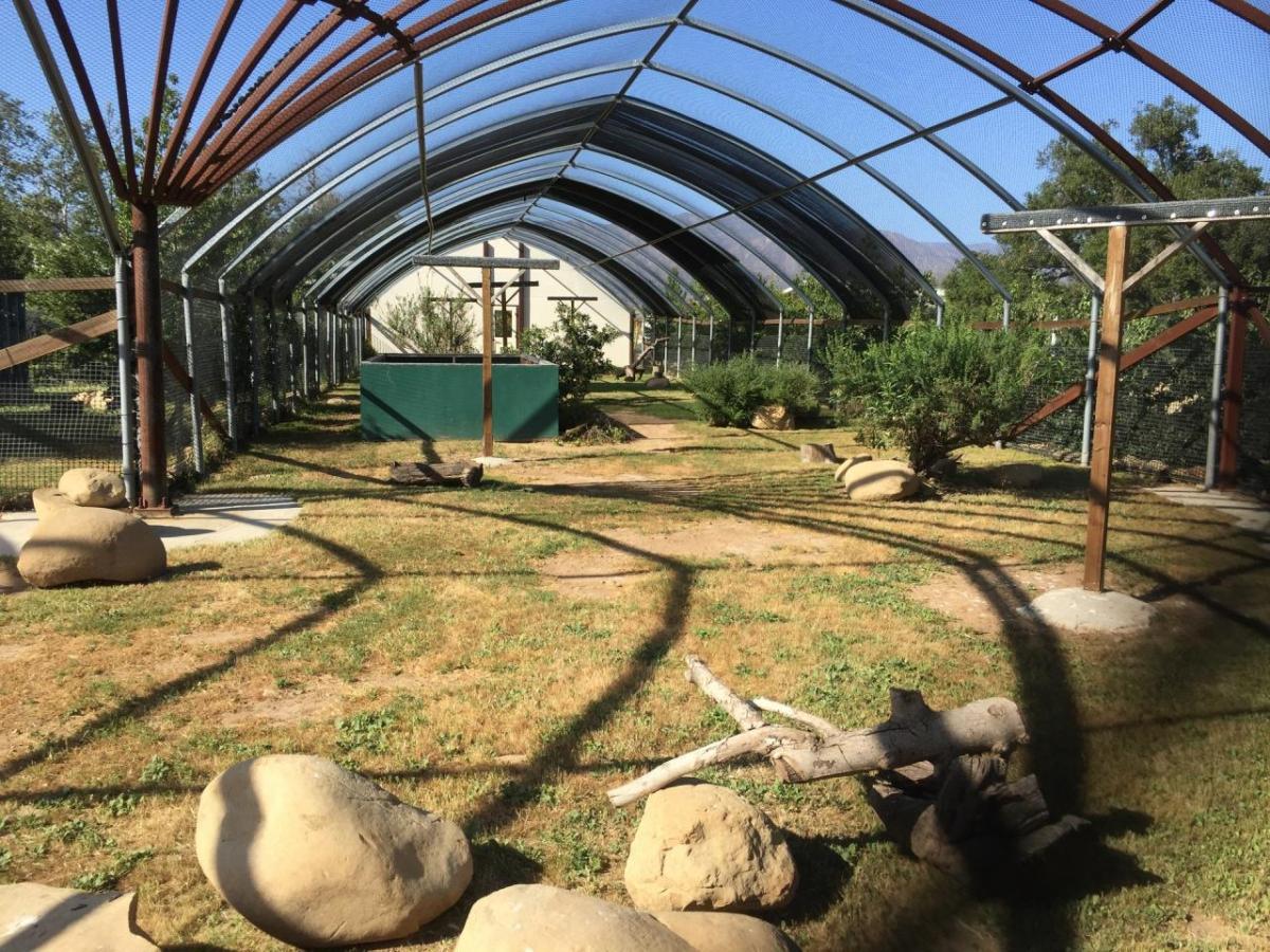 Bird enclosure at the Ojai Raptor center.