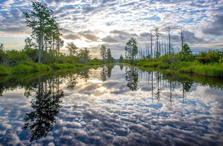 Okefenokee Wildlife Refuge