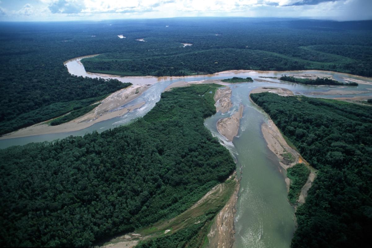 Confluence of Manu River (sediment laden) with clearer Madre de Dios River, former river channel of Manu, plant covered and dry.