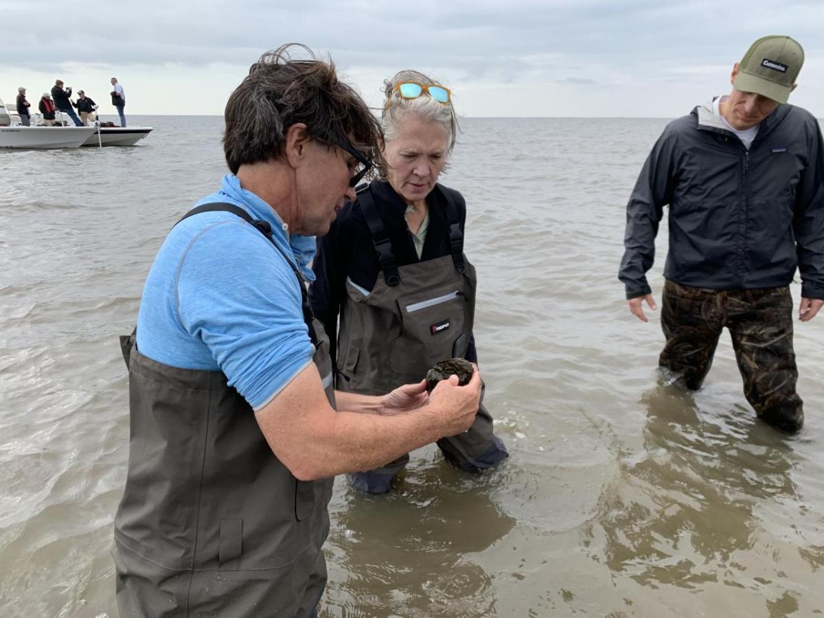 Cummins leaders inspect an oyster reef restoration project in Louisiana. Three people in waders stand in shallow water looking at an oyster.