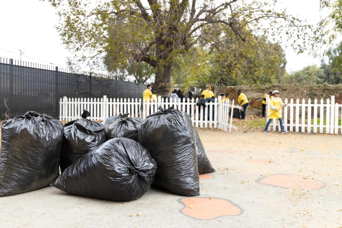 Volunteers cleaned out areas covered in leaves two feet deep, picking up and removing 1,200 pounds of organic waste.