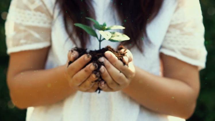 Young girl holding a small plant in her hands.