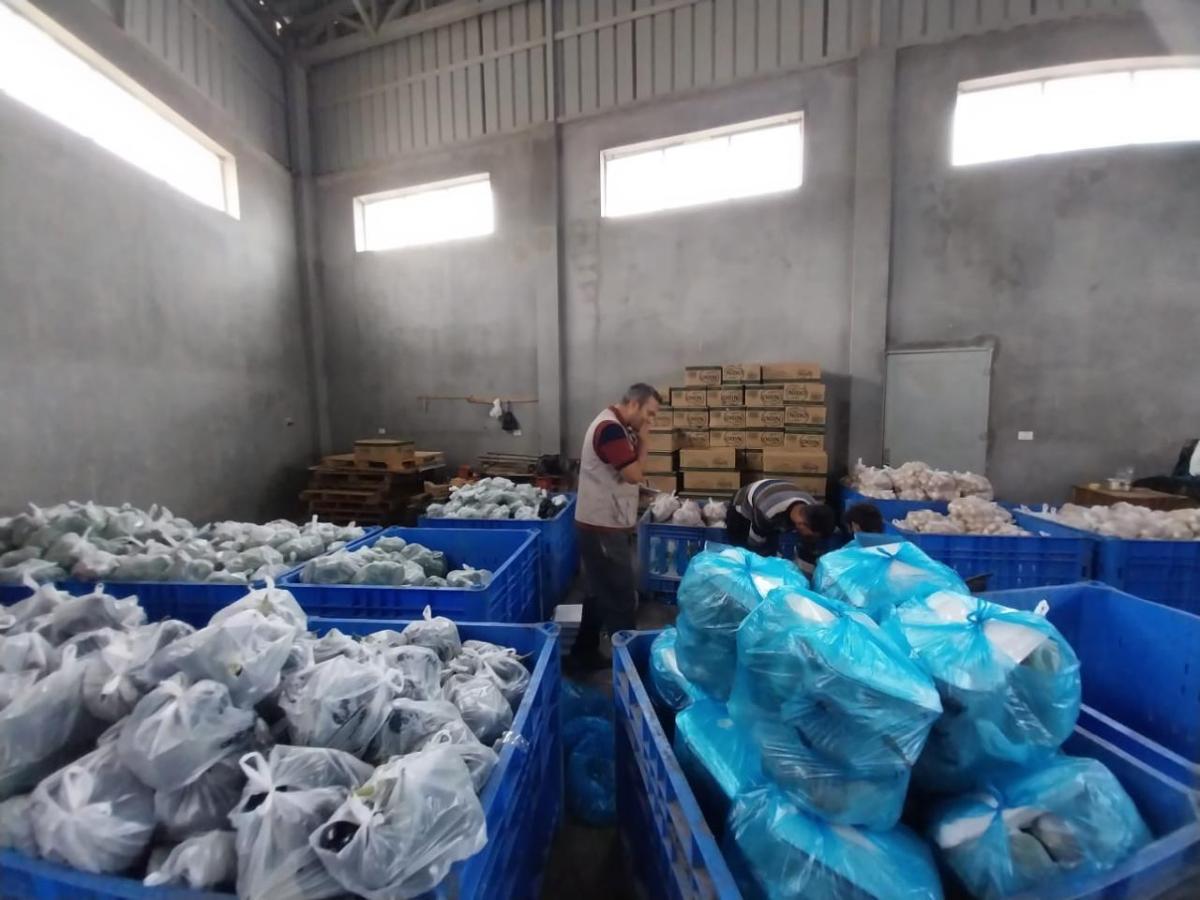 Action Against Hunger teams prepare packages of fresh fruit and vegetables for distribution to families in Gaza. Action Against Hunger teams prepare packages of fresh fruit and vegetables for distribution to families in Gaza.