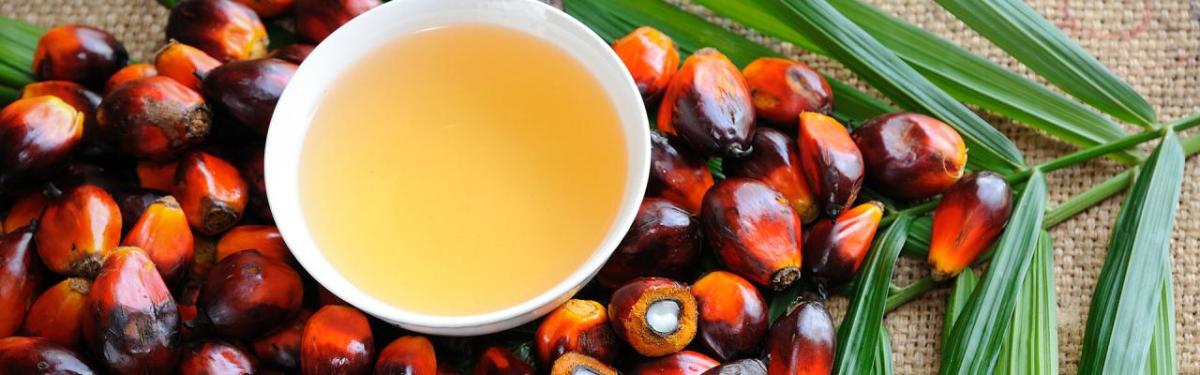 Palm oil on a palm leaf