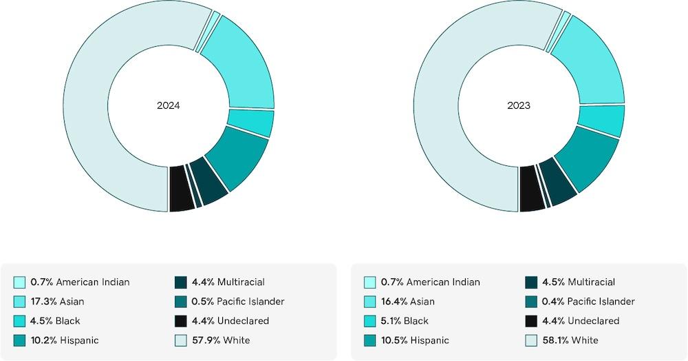 GoDaddy: A Closer Look at U.S. Race & Ethnic Diversity