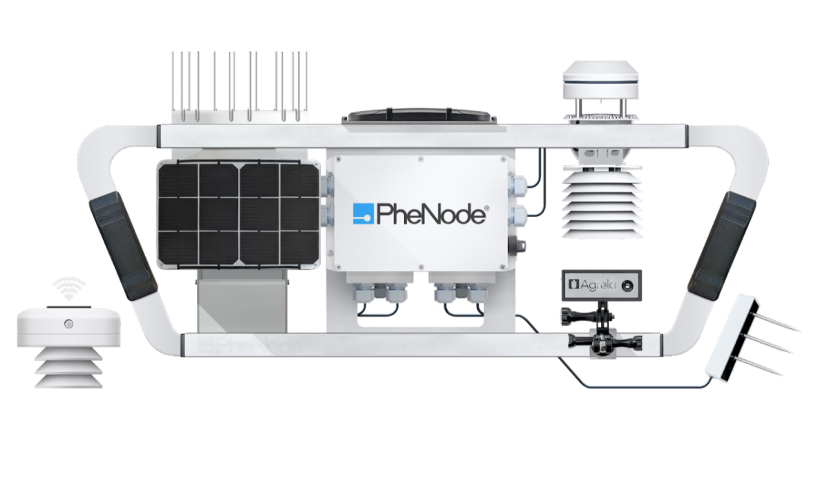 PheNode® Sensor Array