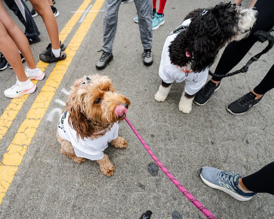 Participants of all ages and fitness levels took part in the scenic coastal run, reinforcing the 5K as one of the LA Kings’ most anticipated community events.