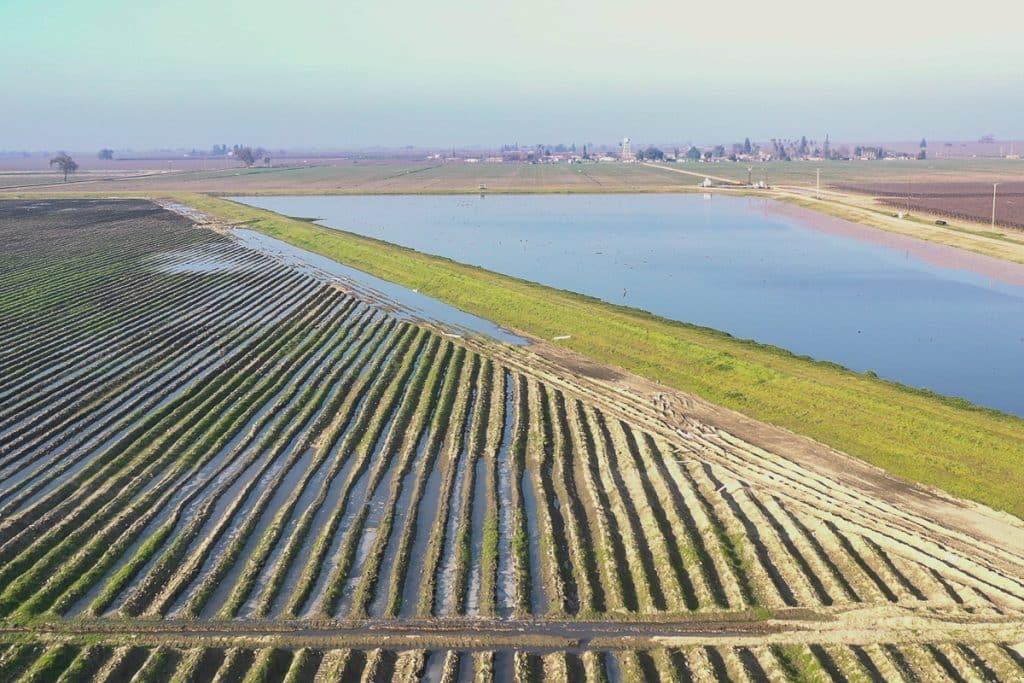 Capinero Creek recharge area. At this groundwater banking facility in California’s Central Valley, dedicated recharge areas allow water to percolate down into the aquifer — an on‑farm investment that boosts long‑term water security.