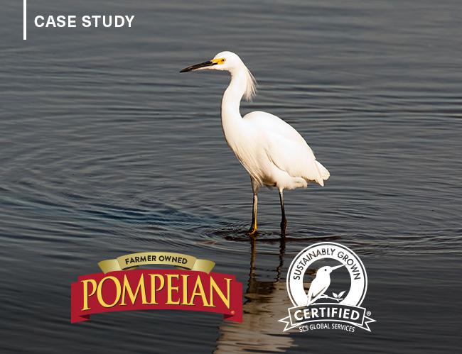 Case Study: Pompeian’s Sunrise Olive Ranch Champions Biodiversity Through Innovative Algae Control