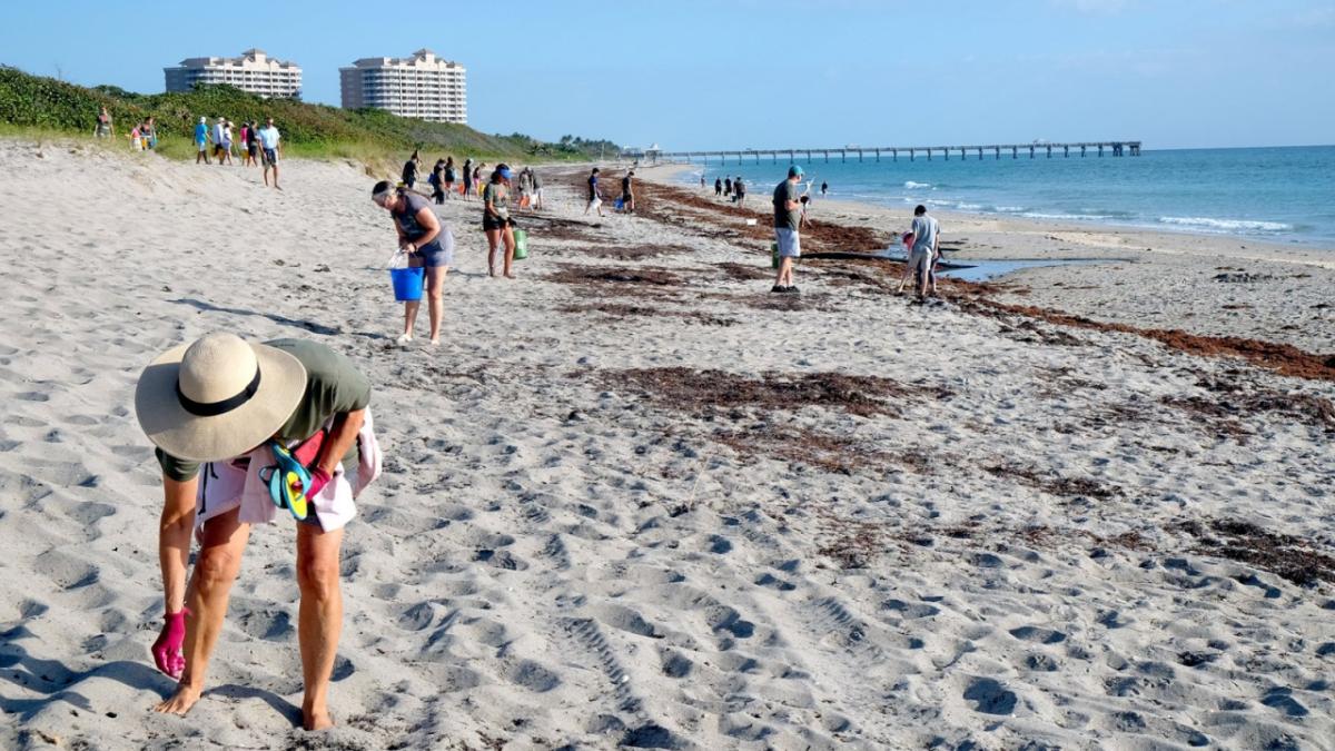 Celebrate a #Beautiful4th with Keep America Beautiful by keeping our beaches, parks, and picnics litter-free.