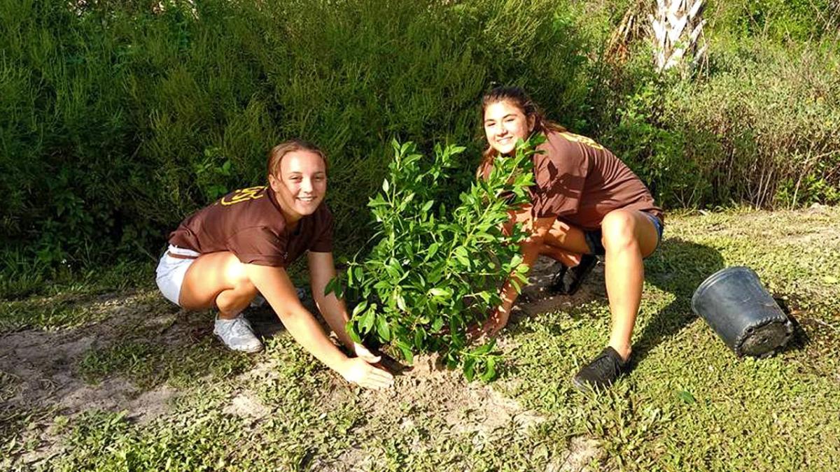 UPS volunteers lending a hand for Keep Indian River Beautiful's 2017 Keep America Beautiful/UPS Community Tree and Recovery Tree Planting Grants program.